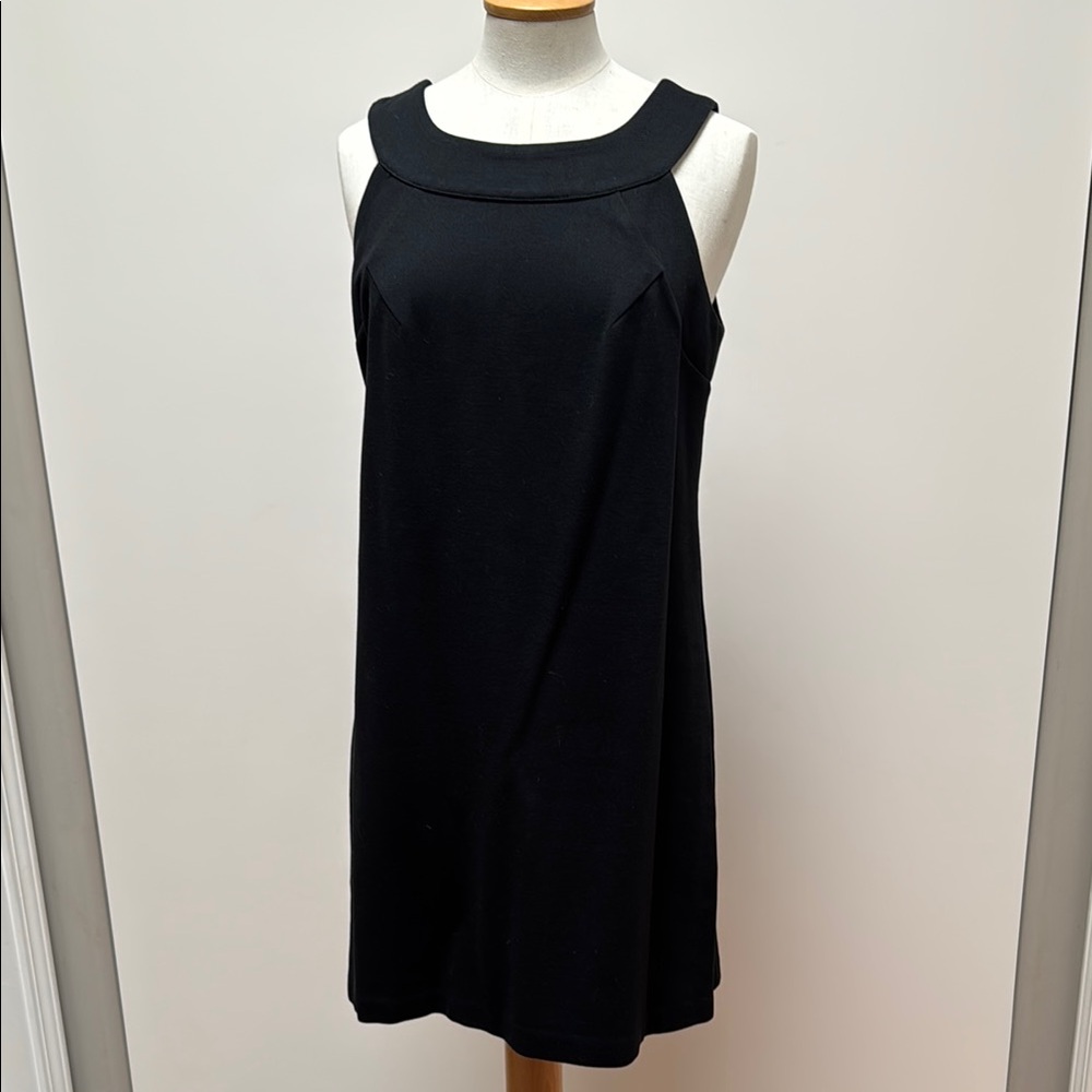 Elegant Black Sleeveless Dress